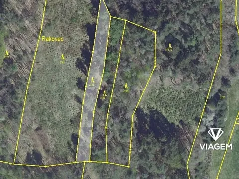 Prodej podílu lesa, Chářovice, 1160 m2