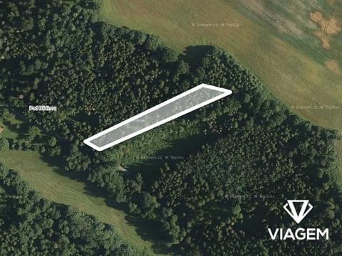 Prodej lesa, Jindřichov, 2450 m2