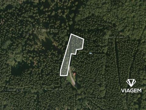 Prodej podílu lesa, Morávka, 1550 m2