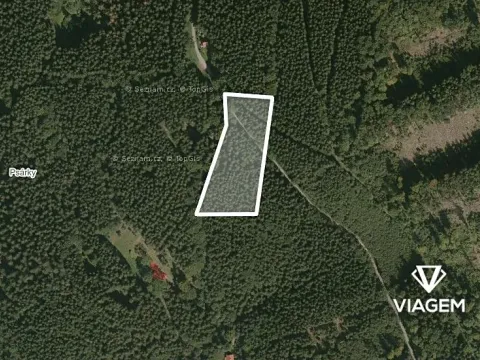 Prodej podílu lesa, Morávka, 3649 m2