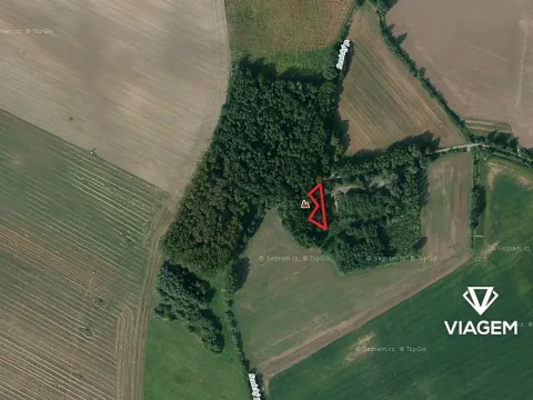 Prodej podílu lesa, Přelouč, 241 m2