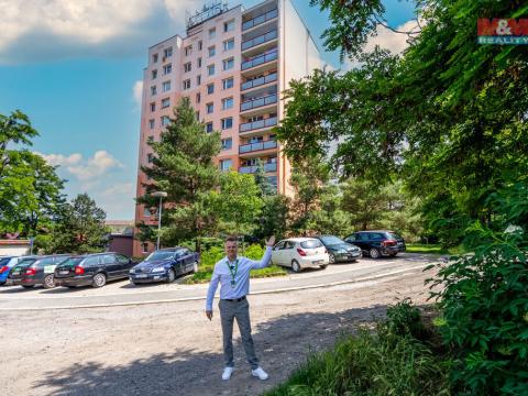 Prodej bytu 2+kk, Kolín - Kolín V, Za Baštou, 43 m2