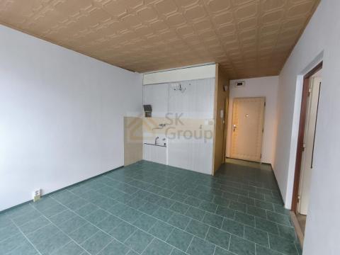 Prodej bytu 1+1, Horní Slavkov, U Lesoparku, 33 m2