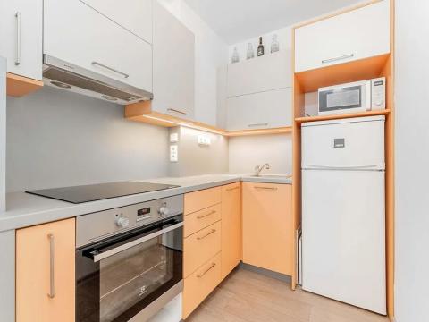Prodej bytu 2+kk, Brno, Mikulovská, 40 m2