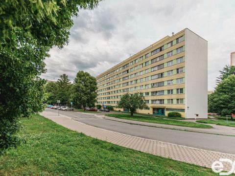 Prodej bytu 1+1, Pardubice, Prodloužená, 1500 m2