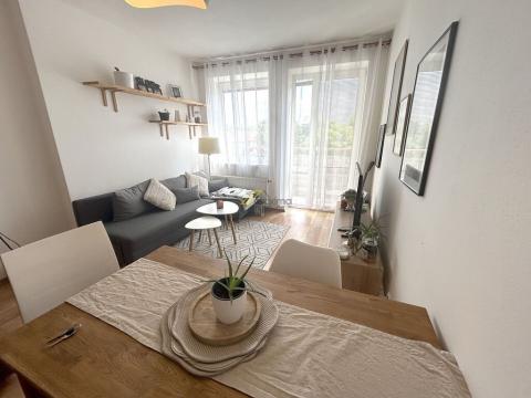 Pronájem bytu 2+kk, České Budějovice - České Budějovice 3, U Trojice, 58 m2