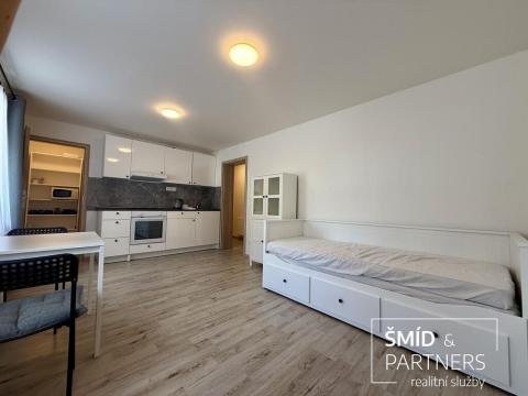 Pronájem bytu 1+kk, Lošany, 25 m2