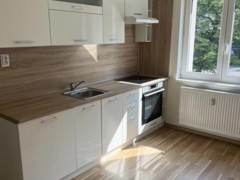 Pronájem bytu 1+1, Ostrava - Mariánské Hory, Cottonové, 37 m2
