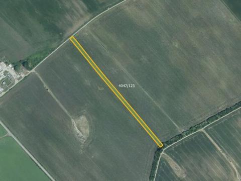 Prodej pole, Moravská Nová Ves, 6902 m2