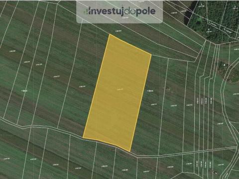 Prodej pole, Bzenec, 3029 m2