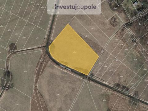Prodej louky, Kly - Dolní Vinice, 1500 m2