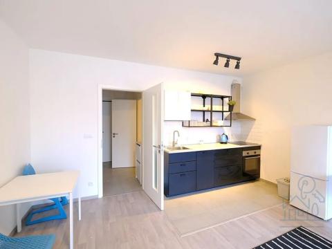 Pronájem bytu 1+kk, Praha - Žižkov, Olgy Havlové, 37 m2