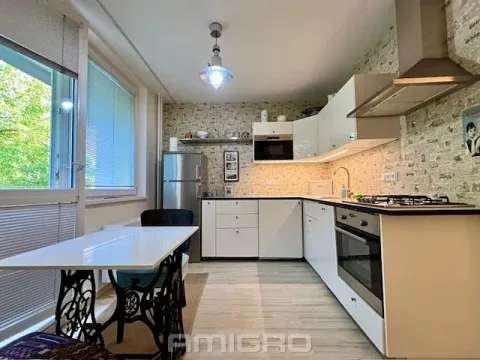 Pronájem bytu 2+kk, Brno, Lipská, 54 m2