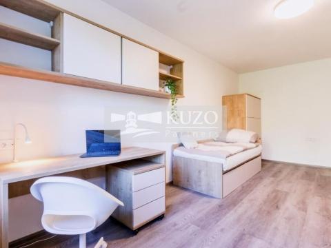 Pronájem bytu 1+kk, Brno, Plevova, 21 m2