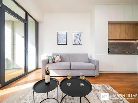 Pronájem bytu 1+kk, Brno, Opuštěná, 31 m2