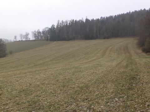 Prodej pole, Zvěstov - Bořkovice, 22738 m2