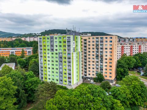 Prodej bytu 1+1, Ústí nad Labem - Severní Terasa, Muchova, 42 m2