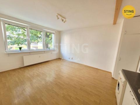 Pronájem bytu 1+kk, Opava, Skřivánčí, 30 m2