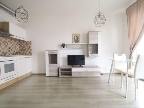 Pronájem bytu 1+kk, Praha - Stodůlky, Toufarova, 35 m2