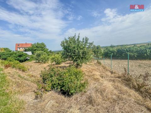 Prodej pozemku pro bydlení, Bechlín, 1185 m2
