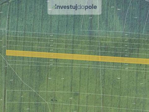 Prodej pole, Uhy, 1184 m2