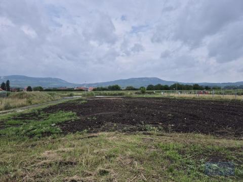 Prodej pozemku pro bydlení, Dolní Dunajovice, Pálavská, 1250 m2