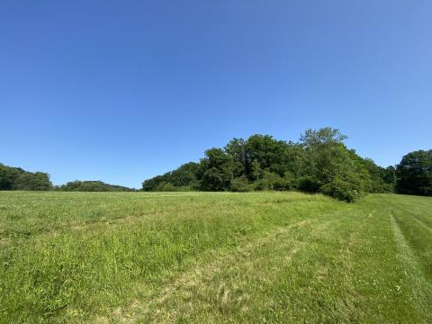 Prodej lesa, Roštění, 2228 m2
