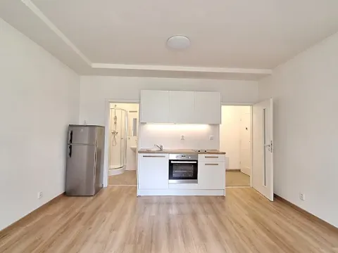 Pronájem bytu 1+kk, Praha - Bubeneč, U zeměpisného ústavu, 26 m2