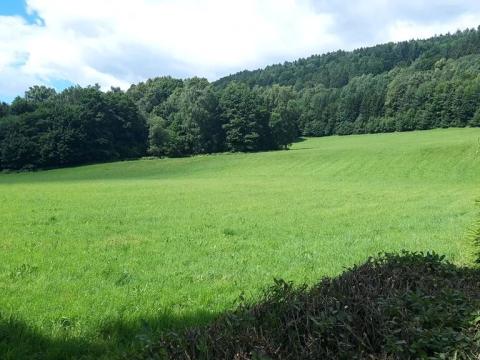 Prodej pozemku pro bydlení, Loučná nad Desnou, 34787 m2