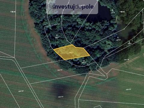 Prodej pozemku, Tovačov - Tovačov I-Město, 1053 m2