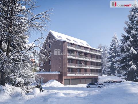 Pronájem bytu 2+kk, Harrachov - Nový Svět, 55 m2