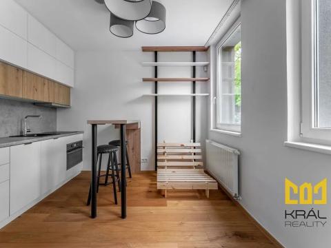 Pronájem bytu 1+kk, Praha - Vinohrady, Perucká, 27 m2