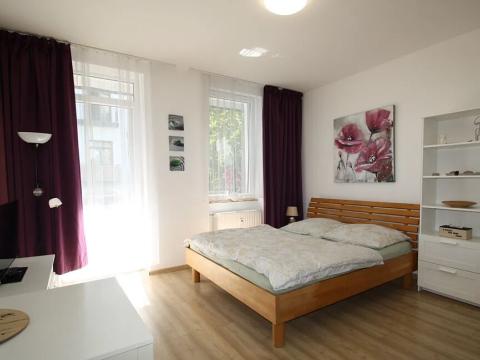 Pronájem bytu 1+kk, Brno, Vlhká, 28 m2