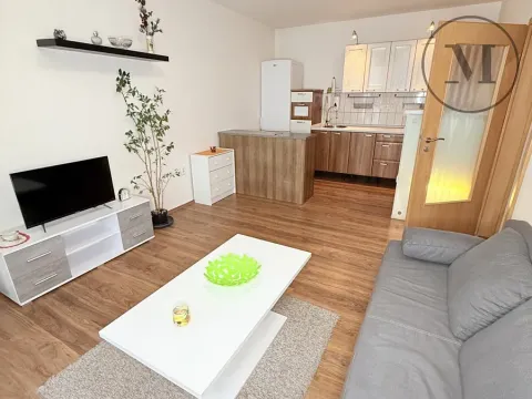 Pronájem bytu 2+kk, České Budějovice, Dlouhá, 40 m2
