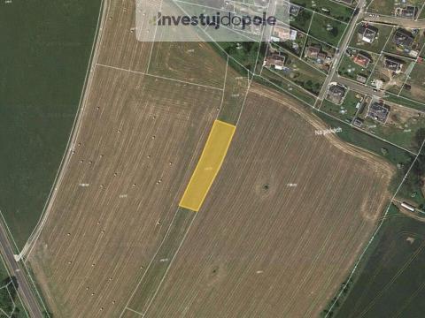 Prodej pole, Horní Police, Na Pískách, 1637 m2