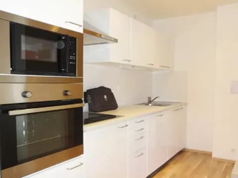 Pronájem bytu 2+kk, Praha - Nusle, U Svépomoci, 43 m2