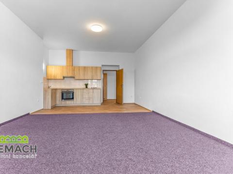 Pronájem bytu 1+kk, Náchod, Kamenice, 45 m2