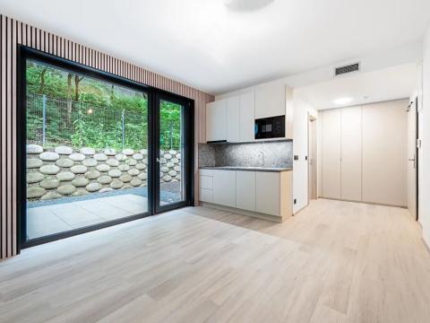 Pronájem bytu 1+kk, Praha, Na Zlíchově, 26 m2