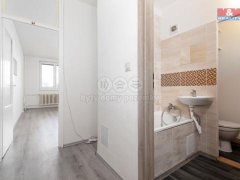 Prodej bytu 1+kk, Ostrava - Moravská Ostrava, U Parku, 25 m2
