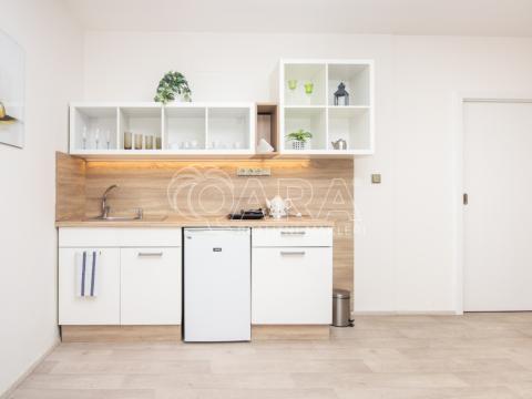 Pronájem bytu 1+kk, Starý Jičín - Vlčnov, 35 m2