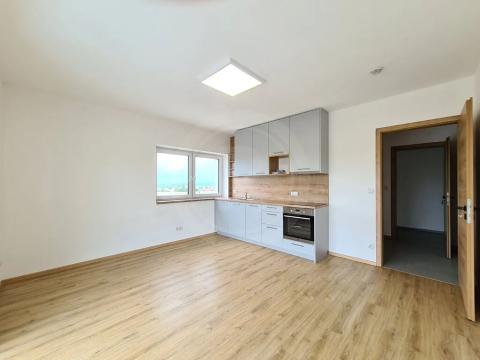 Pronájem bytu 1+kk, Srubec, Do Mladého, 26 m2