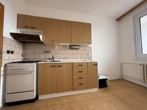 Pronájem bytu 1+1, Pardubice - Bílé Předměstí, Dašická, 40 m2