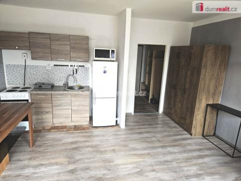 Pronájem bytu 1+kk, Ústí nad Labem - Krásné Březno, Obvodová, 35 m2