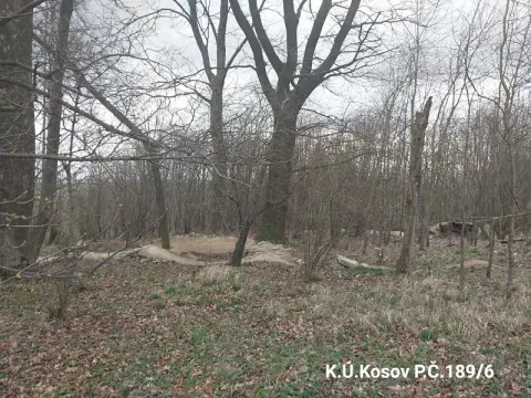 Prodej lesa, Jihlava, 1015 m2