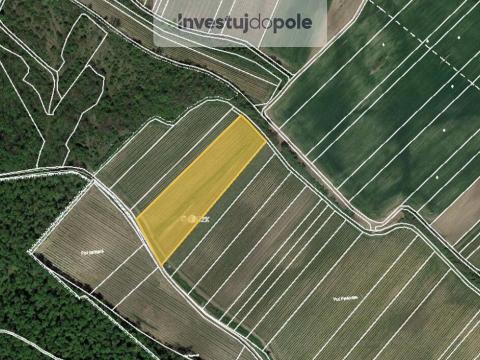 Prodej pozemku, Dolní Věstonice, 1767 m2