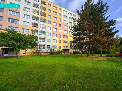 Pronájem bytu 1+1, Olomouc - Nové Sady, Trnkova, 35 m2