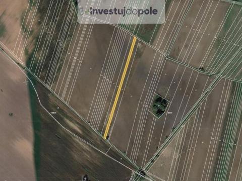 Prodej pole, Kostice, 2446 m2