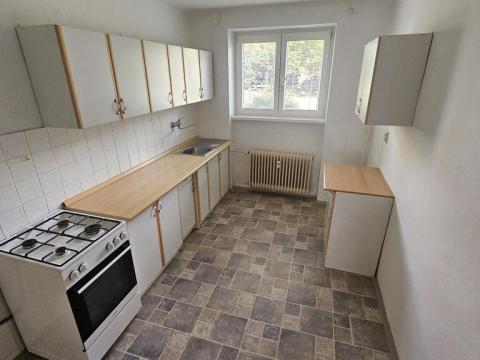 Pronájem bytu 1+1, Příbram - Příbram VII, Politických vězňů, 42 m2