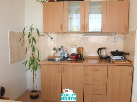 Pronájem bytu 1+kk, Ústí nad Labem, SNP, 22 m2