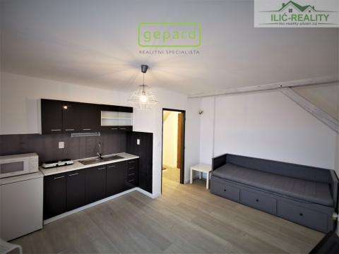 Pronájem bytu 1+kk, Plzeň, Skrétova, 25 m2
